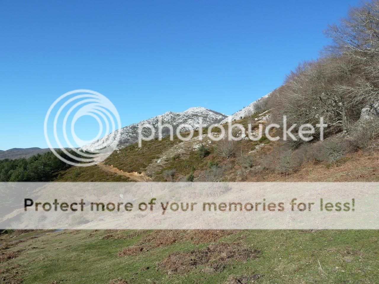 Photo Sharing and otobucVideo Hosting at Phket