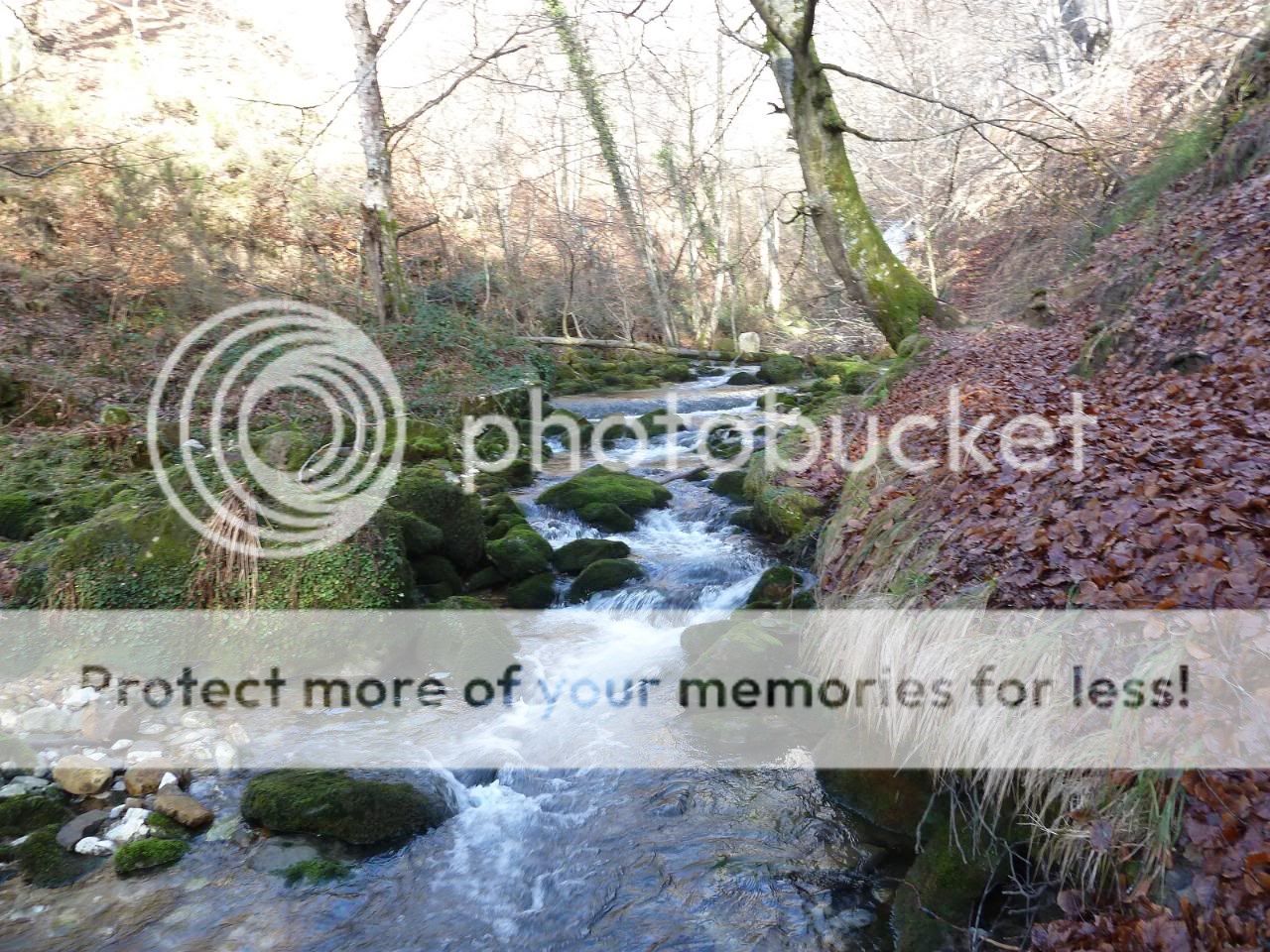 Photo Sharing and otobucVideo Hosting at Phket