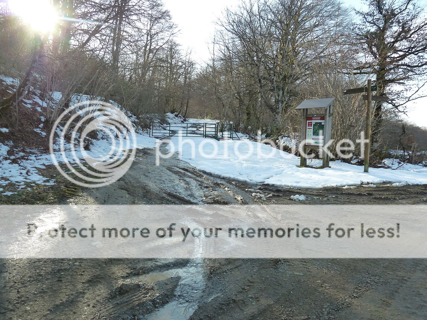 Photo Sharing and Video Hosting at Photobucket