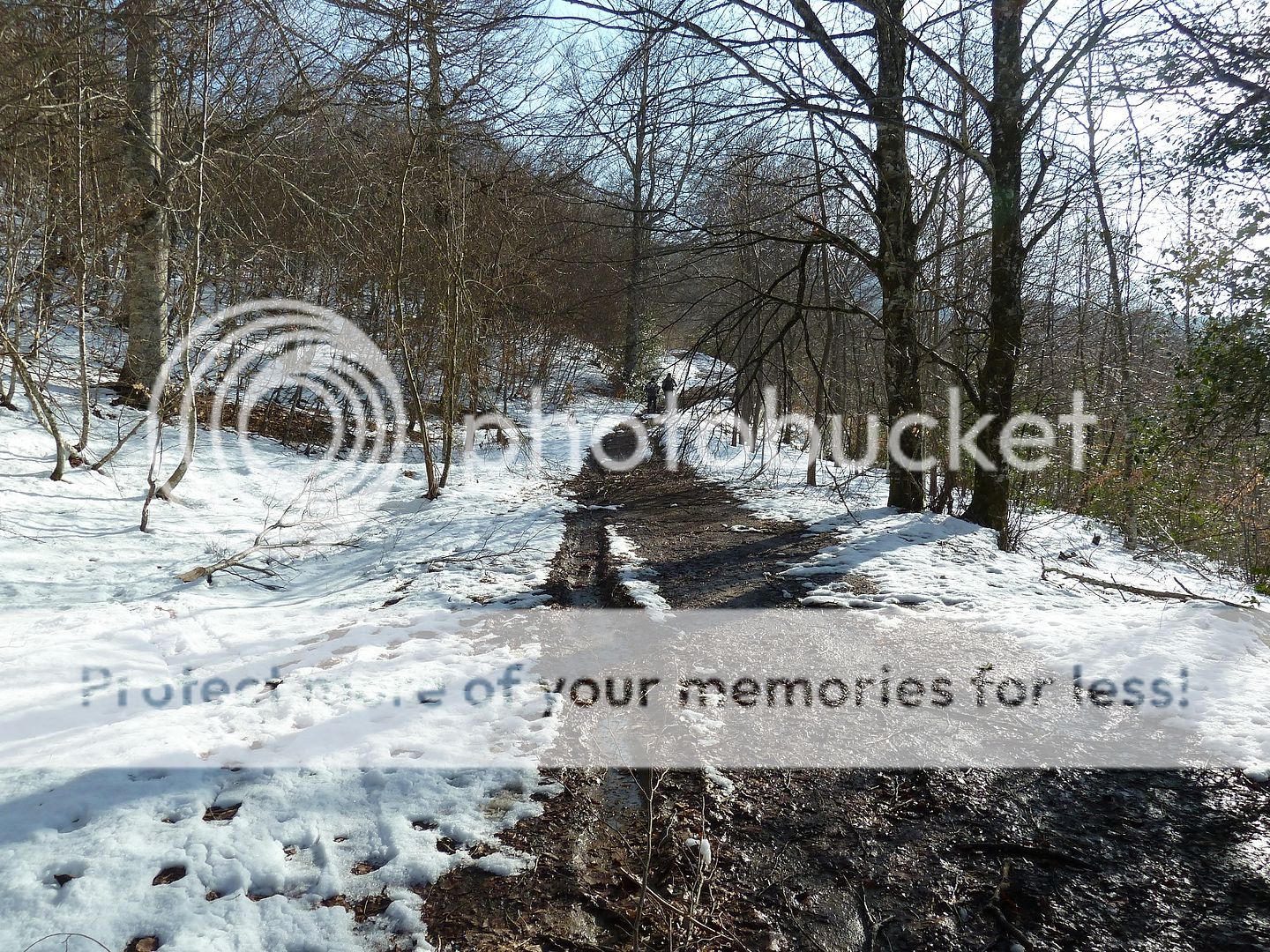Photo Sharing and Video Hosting at Photobucket