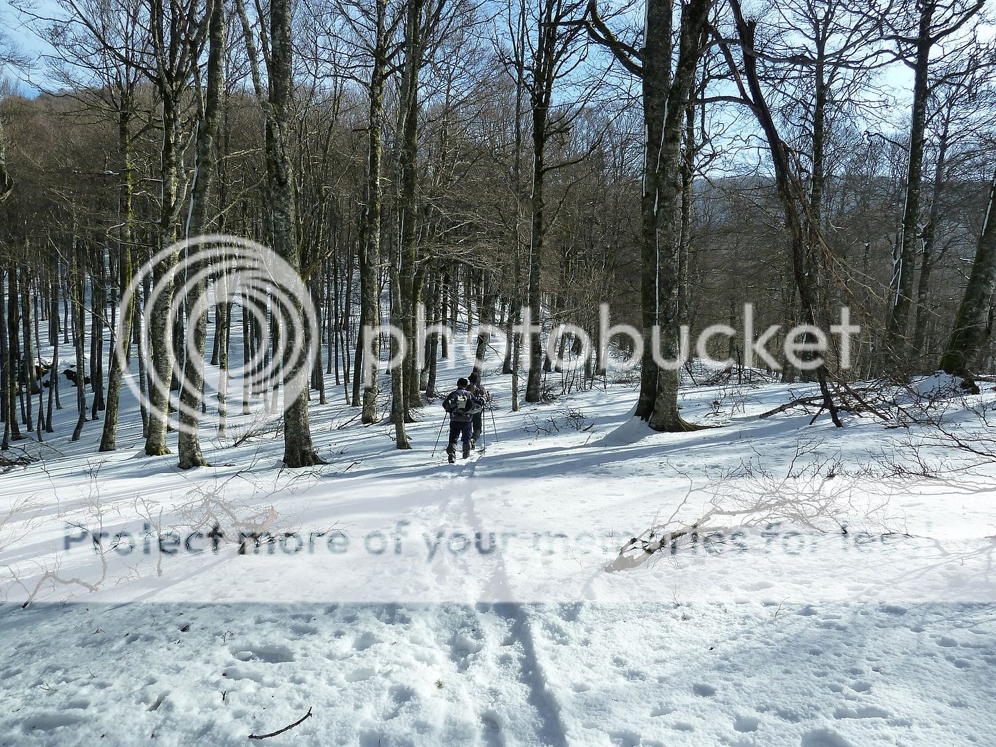 Photo Sharing and Video Hosting at Photobucket