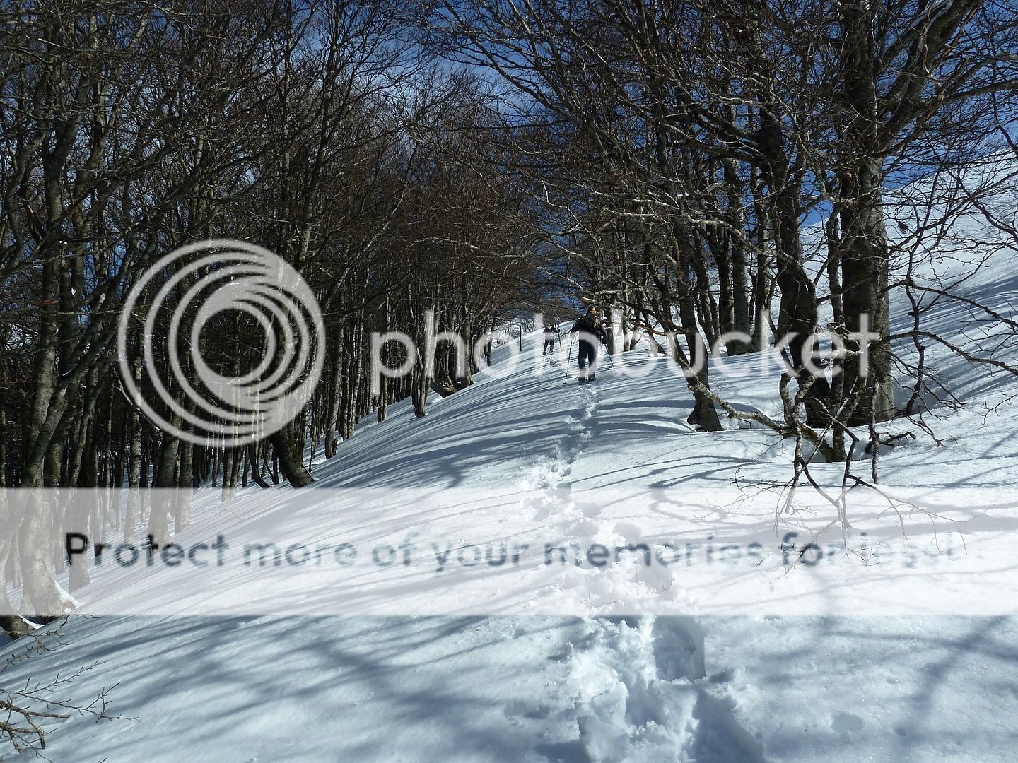 Photo Sharing and Video Hosting at Photobucket