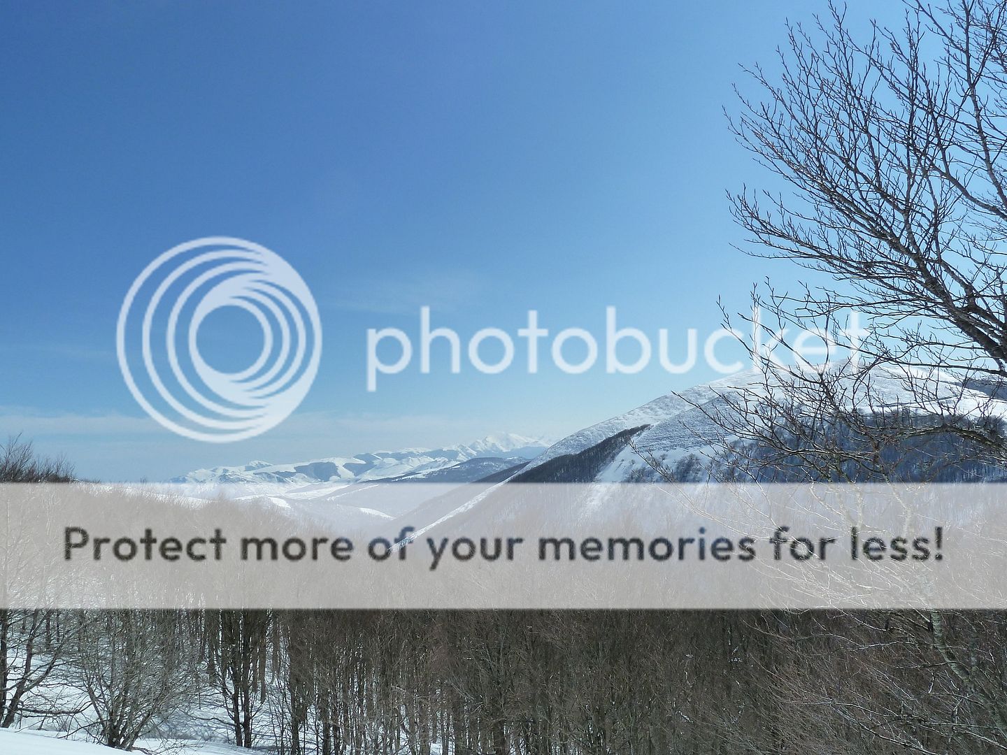 Photo Sharing and Video Hosting at Photobucket