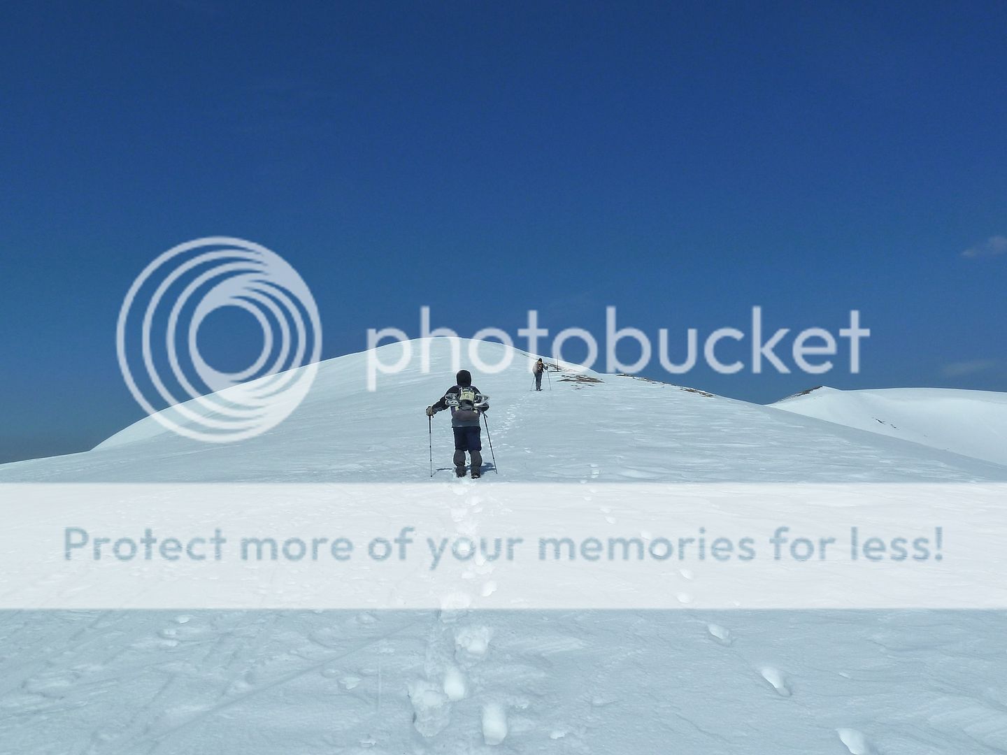 Photo Sharing and Video Hosting at Photobucket