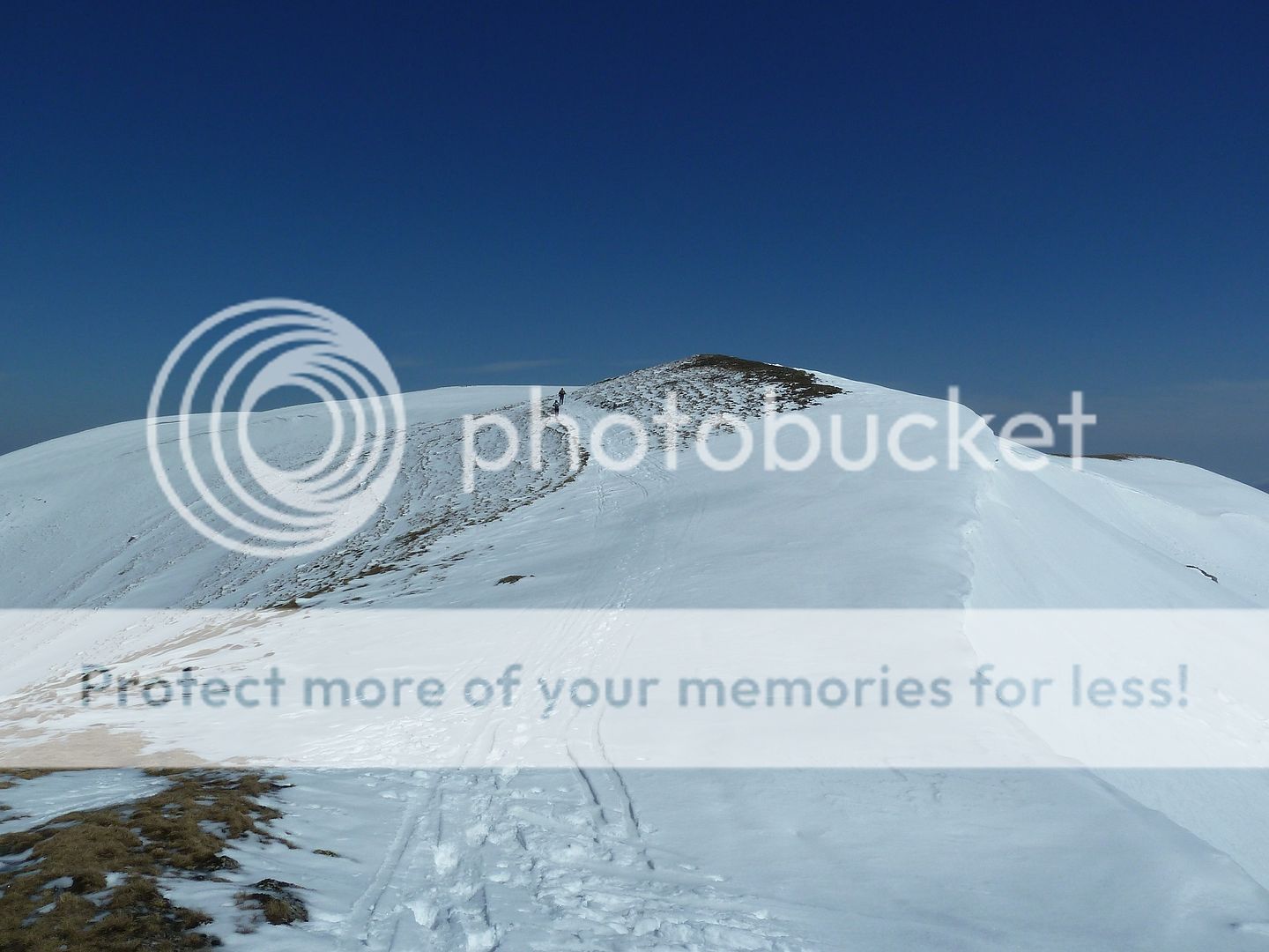Photo Sharing and Video Hosting at Photobucket