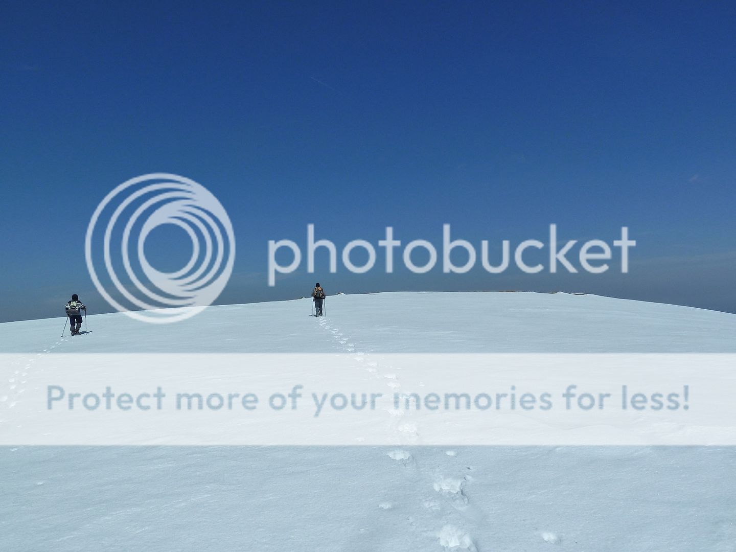 Photo Sharing and Video Hosting at Photobucket