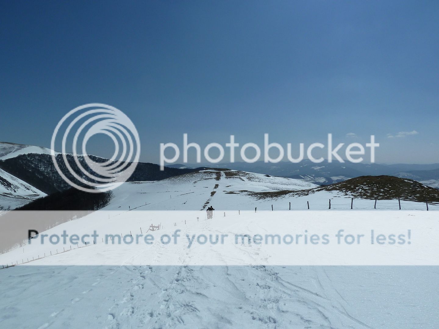 Photo Sharing and Video Hosting at Photobucket