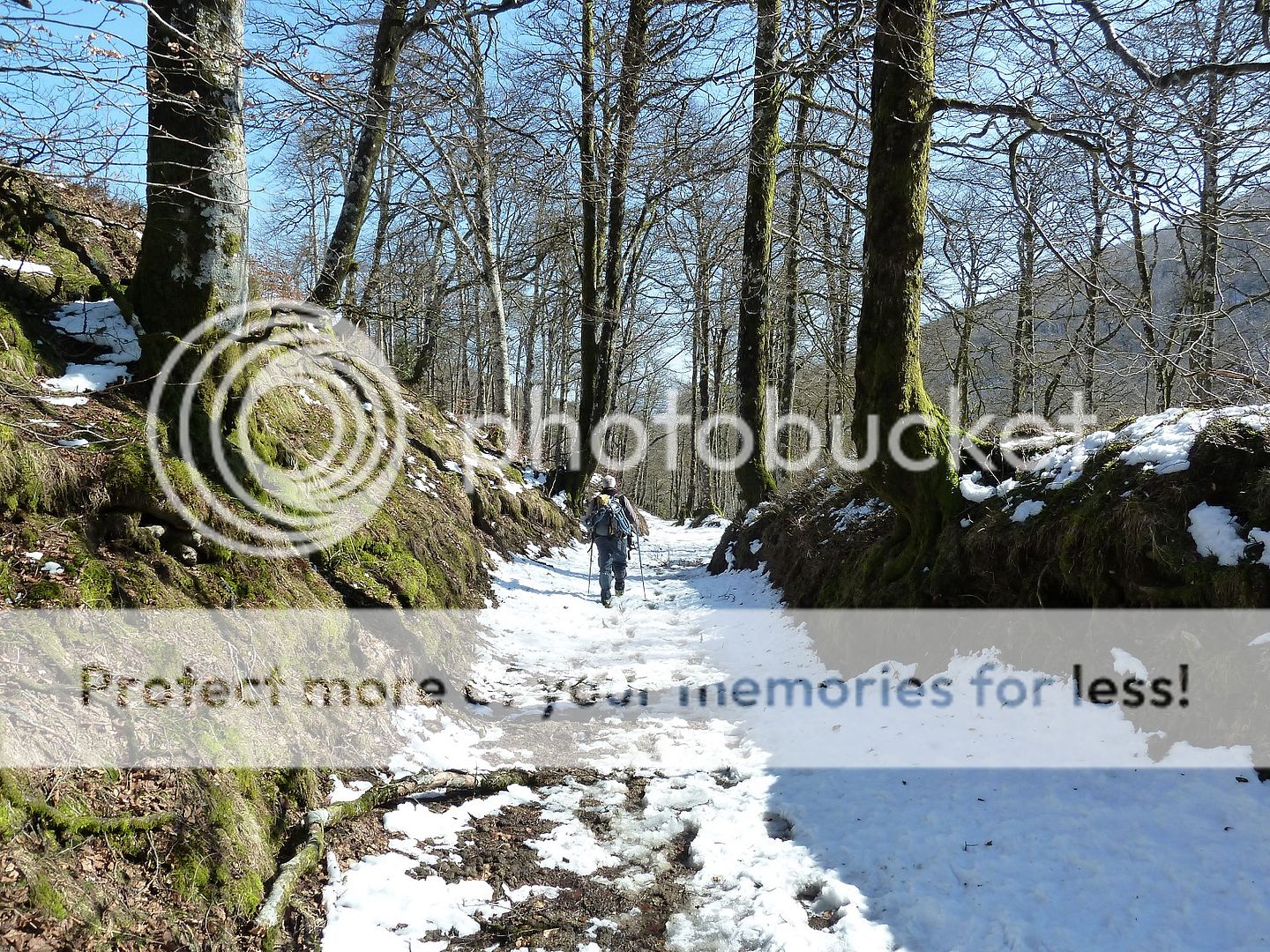 Photo Sharing and Video Hosting at Photobucket