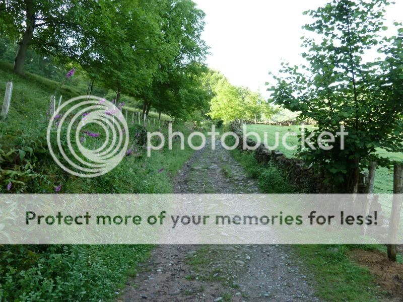 Photo Sharing and otobucVideo Hosting at Phket