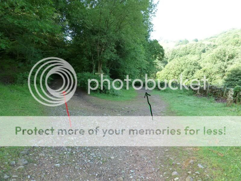 Photo Sharing and otobucVideo Hosting at Phket