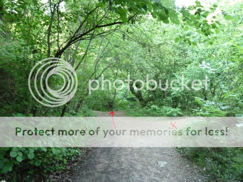 Photo Sharing and otobucVideo Hosting at Phket
