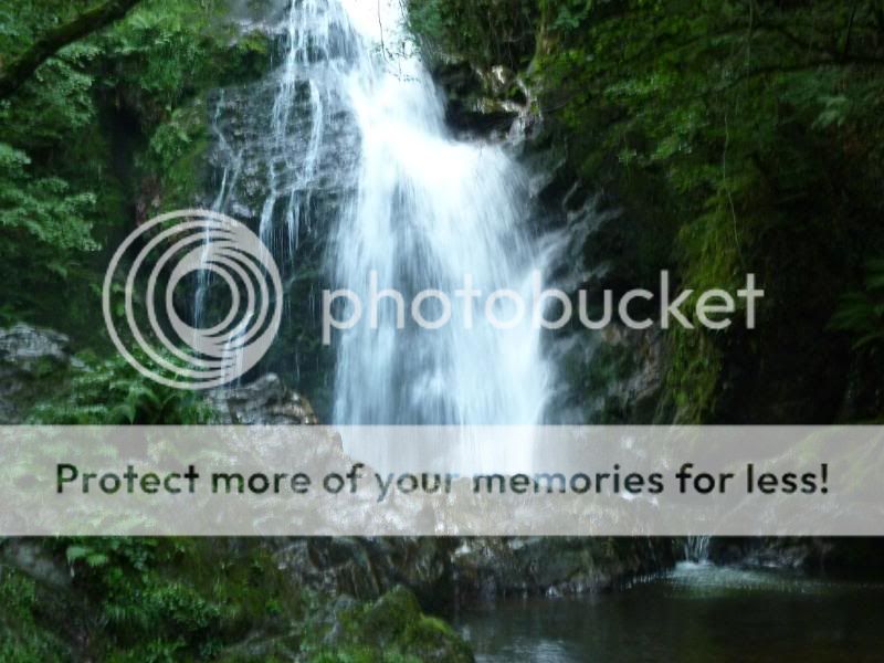 Photo Sharing and otobucVideo Hosting at Phket