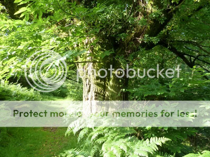 Photo Sharing and otobucVideo Hosting at Phket