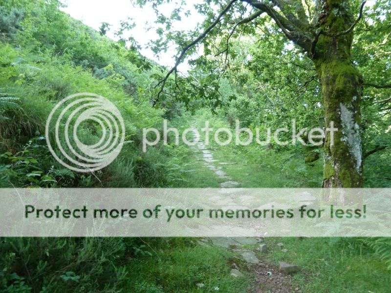 Photo Sharing and otobucVideo Hosting at Phket