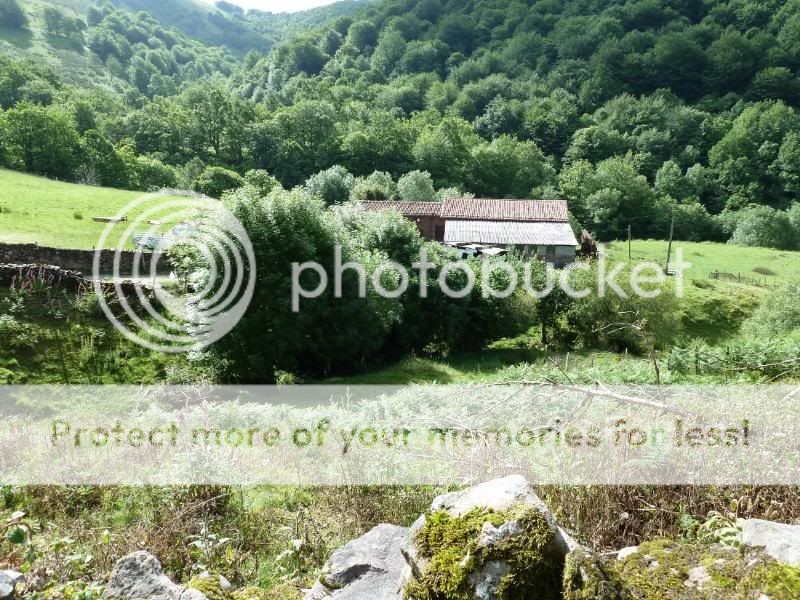 Photo Sharing and otobucVideo Hosting at Phket