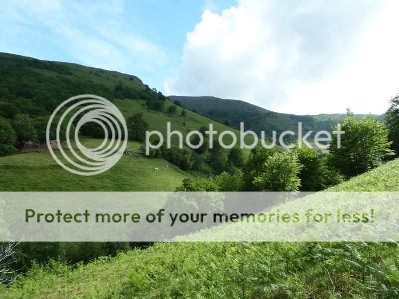 Photo Sharing and otobucVideo Hosting at Phket