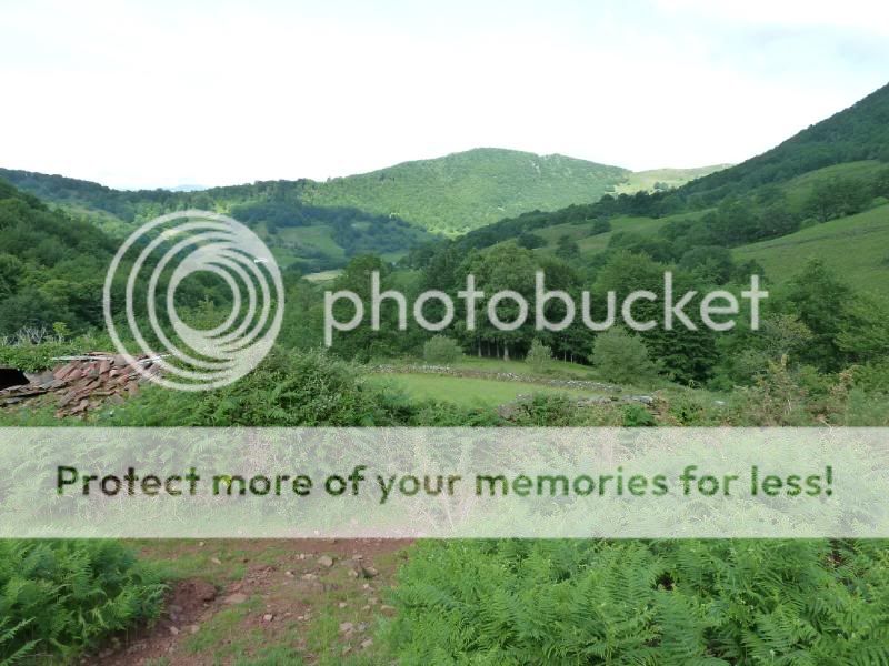 Photo Sharing and otobucVideo Hosting at Phket