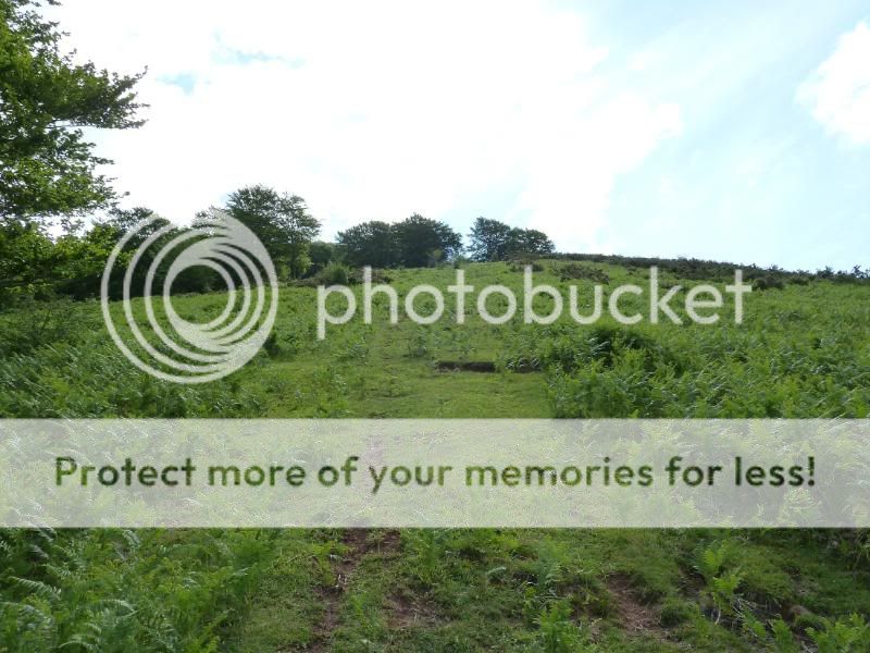 Photo Sharing and otobucVideo Hosting at Phket