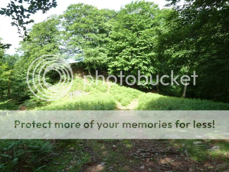 Photo Sharing and otobucVideo Hosting at Phket