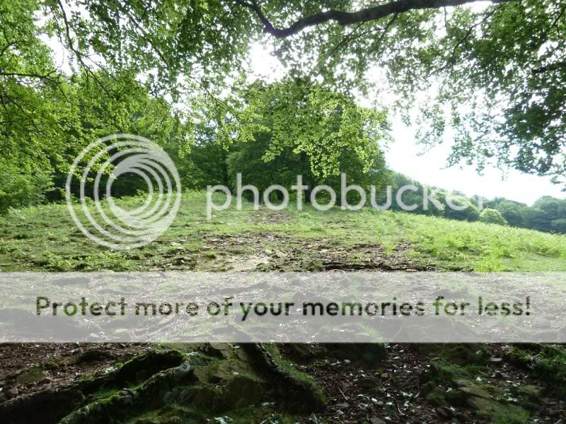 Photo Sharing and otobucVideo Hosting at Phket