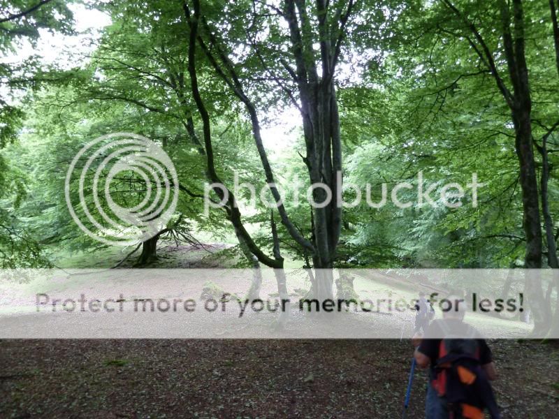 Photo Sharing and otobucVideo Hosting at Phket