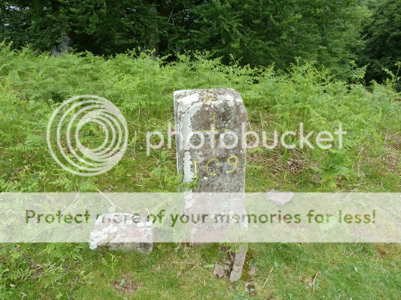 Photo Sharing and otobucVideo Hosting at Phket