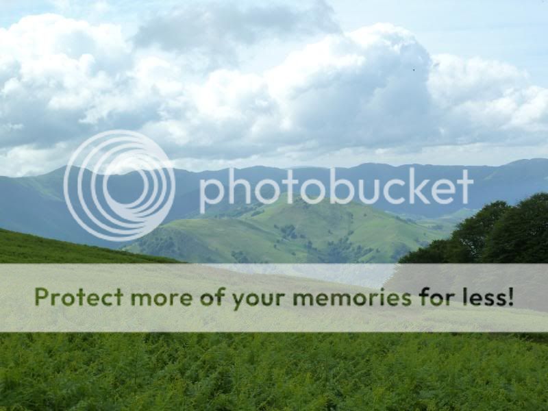 Photo Sharing and otobucVideo Hosting at Phket