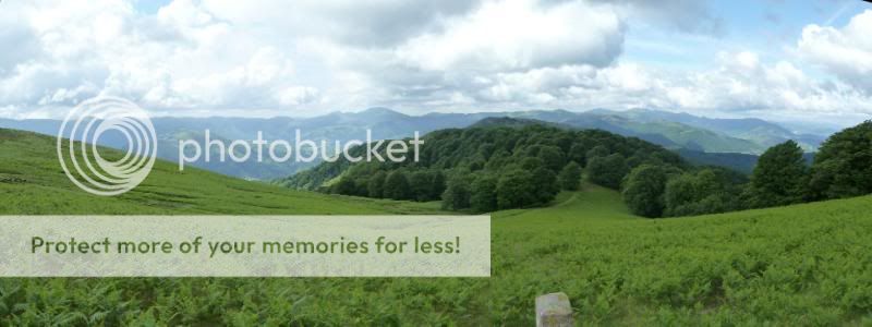 Photo Sharing and otobucVideo Hosting at Phket