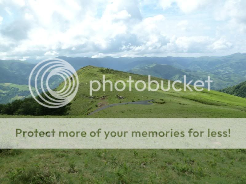 Photo Sharing and otobucVideo Hosting at Phket