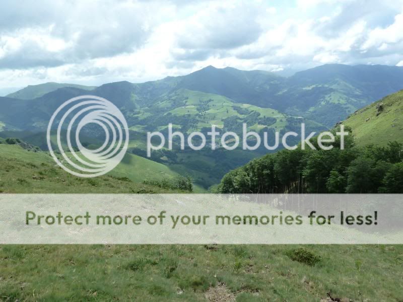 Photo Sharing and otobucVideo Hosting at Phket