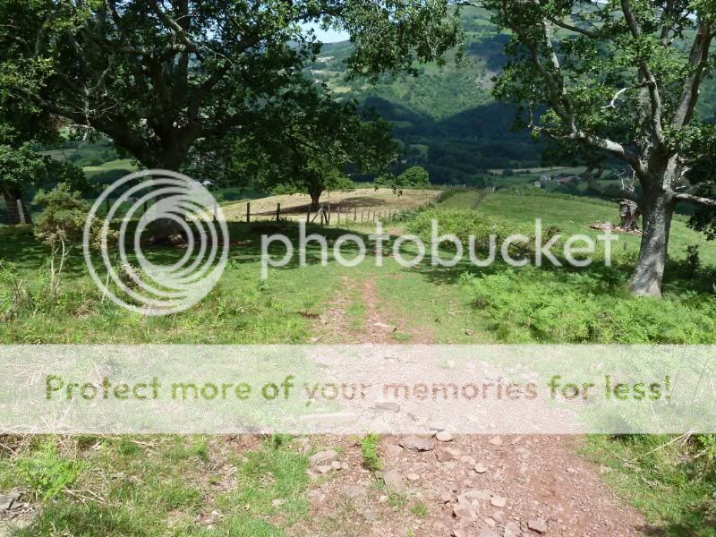 Photo Sharing and otobucVideo Hosting at Phket