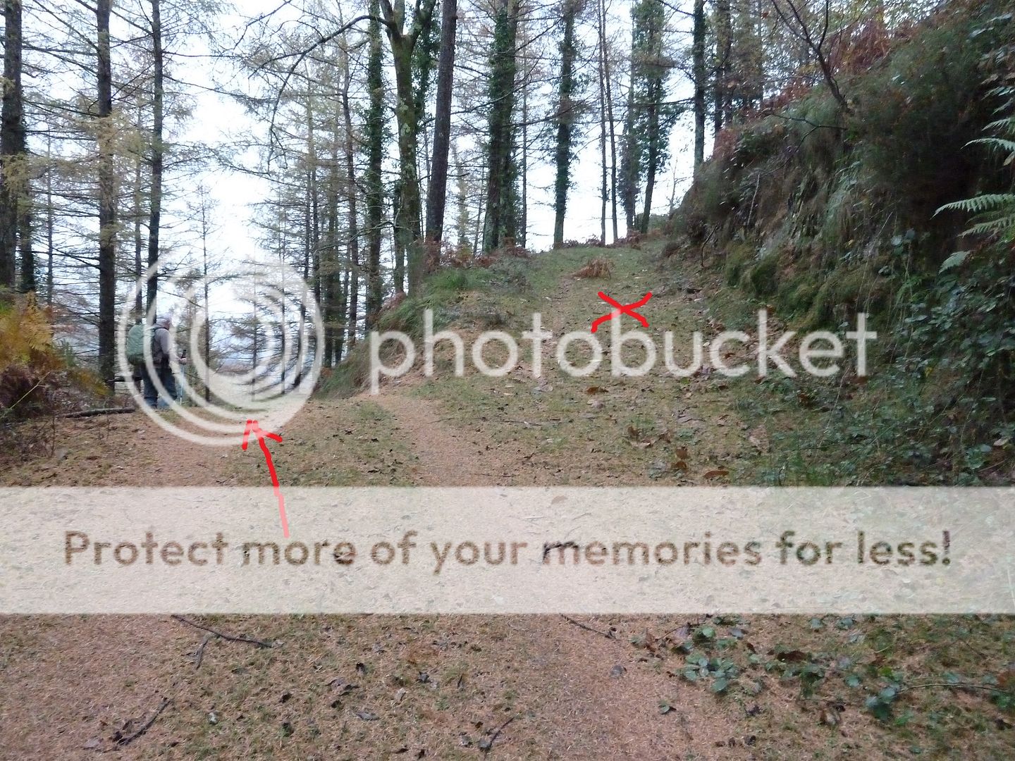 Photo Sharing and Video Hosting at Photobucket