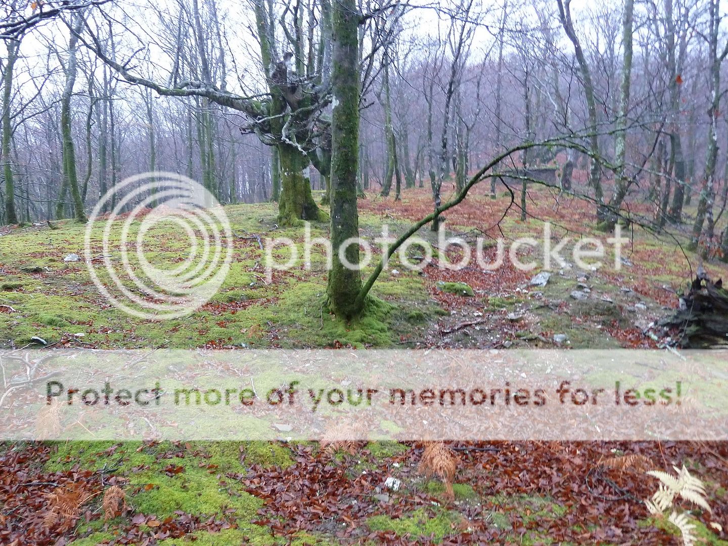 Photo Sharing and Video Hosting at Photobucket