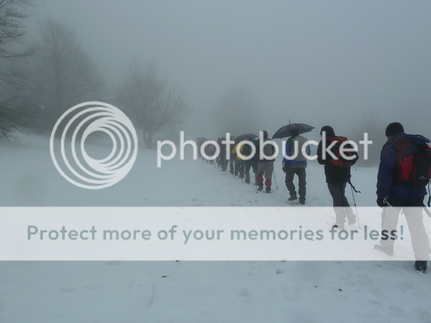 Photo Sharing and otobucVideo Hosting at Phket