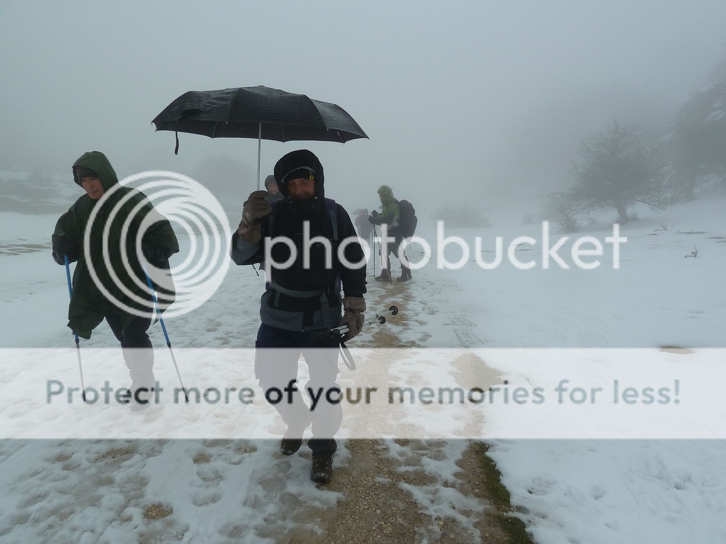 Photo Sharing and otobucVideo Hosting at Phket