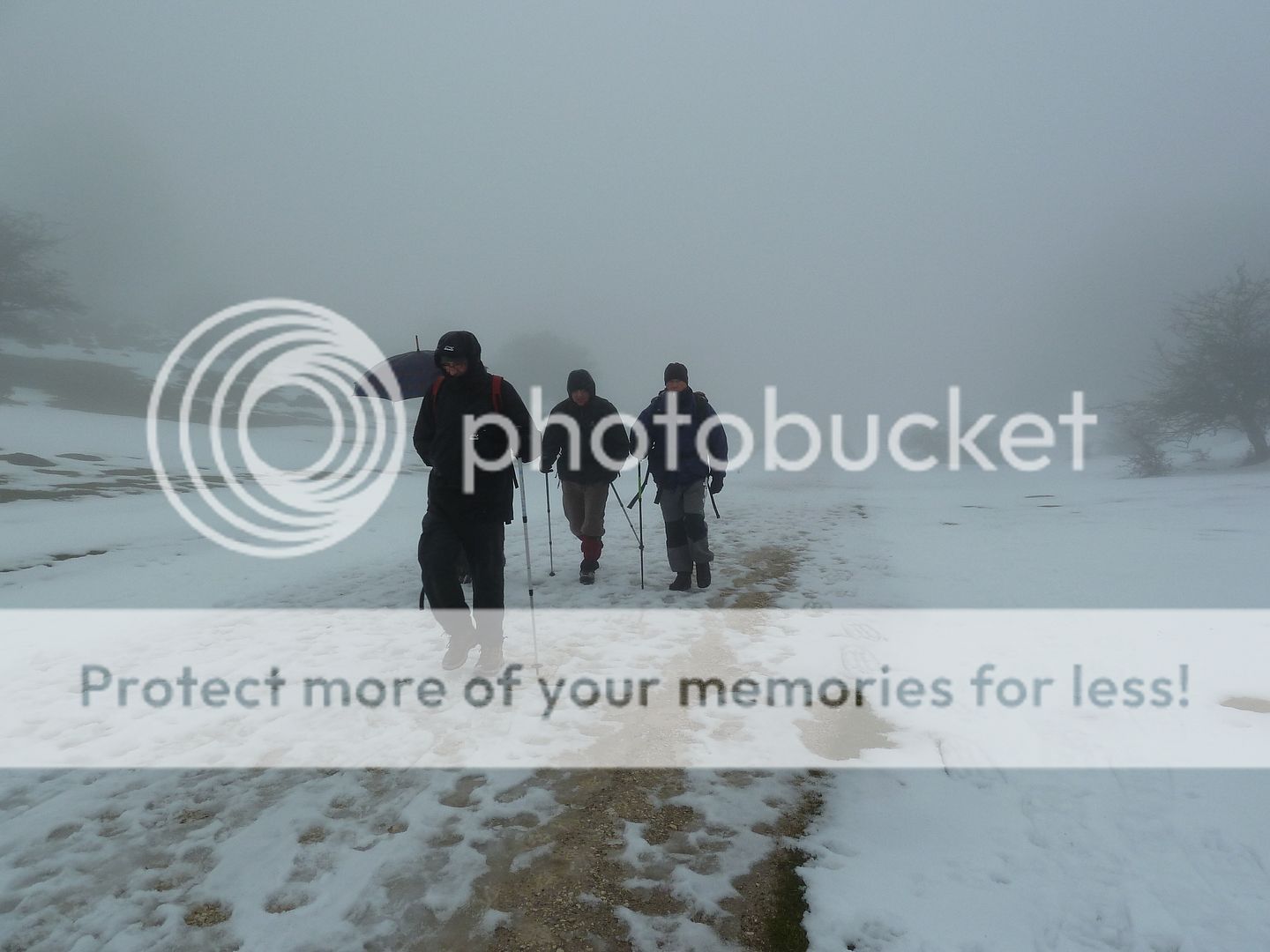 Photo Sharing and otobucVideo Hosting at Phket