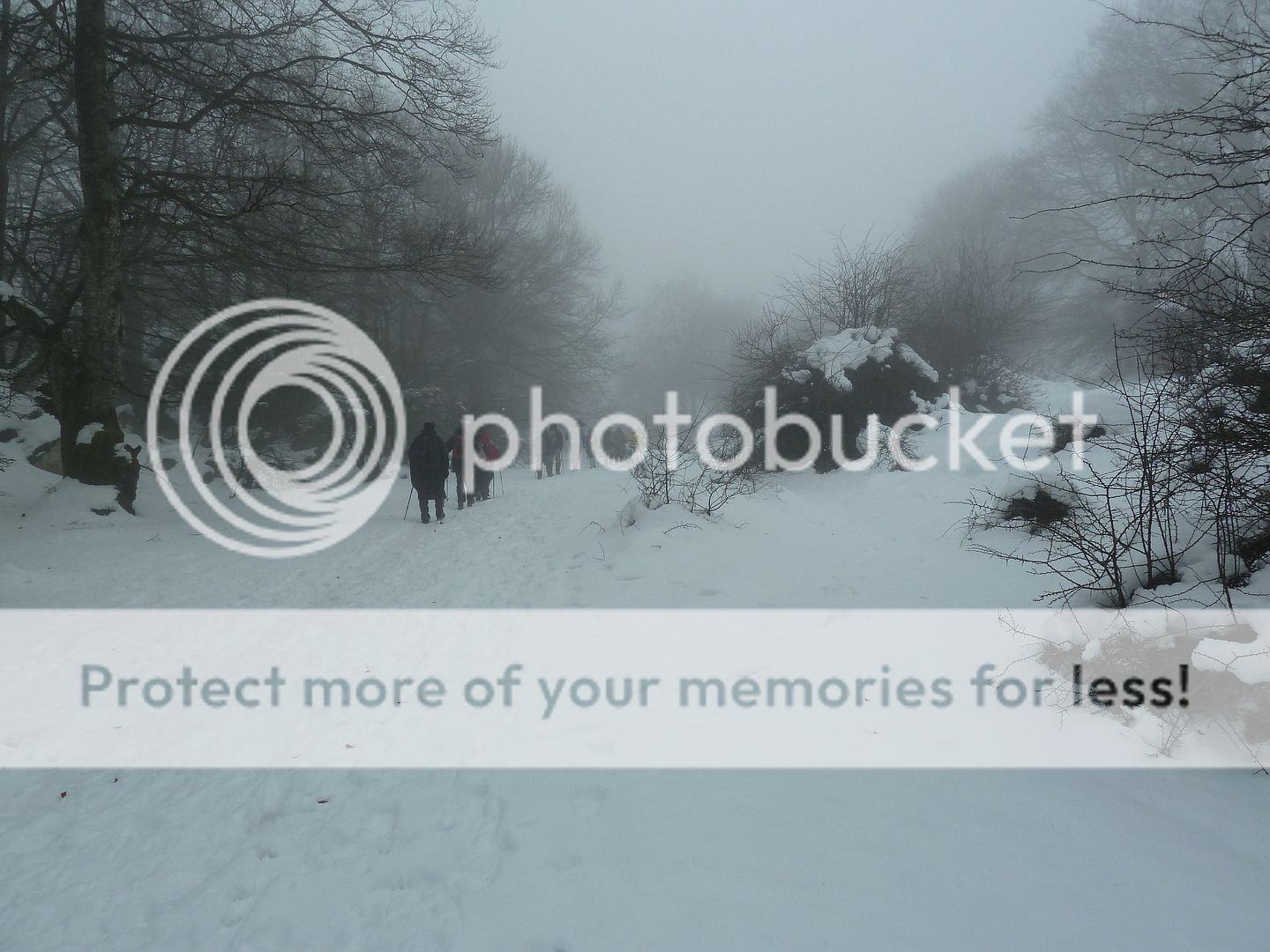 Photo Sharing and otobucVideo Hosting at Phket