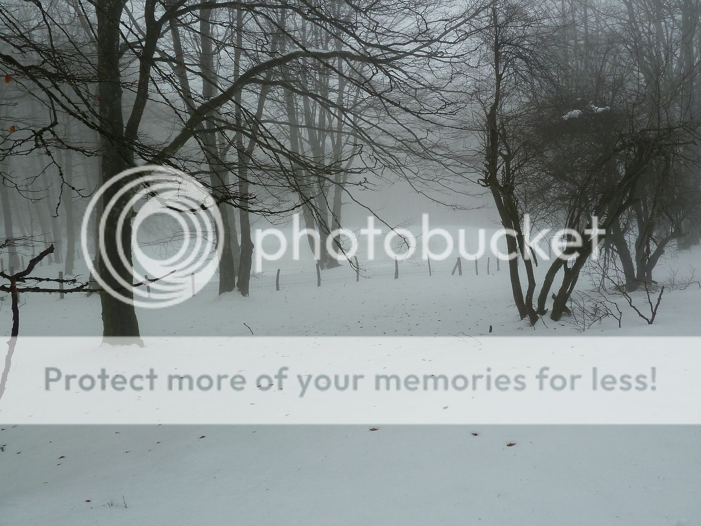 Photo Sharing and otobucVideo Hosting at Phket