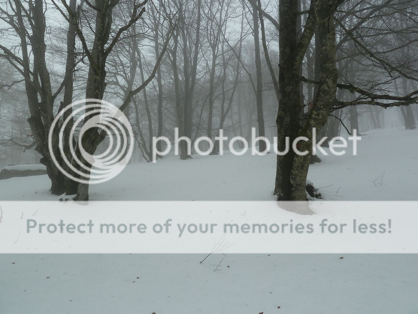 Photo Sharing and otobucVideo Hosting at Phket