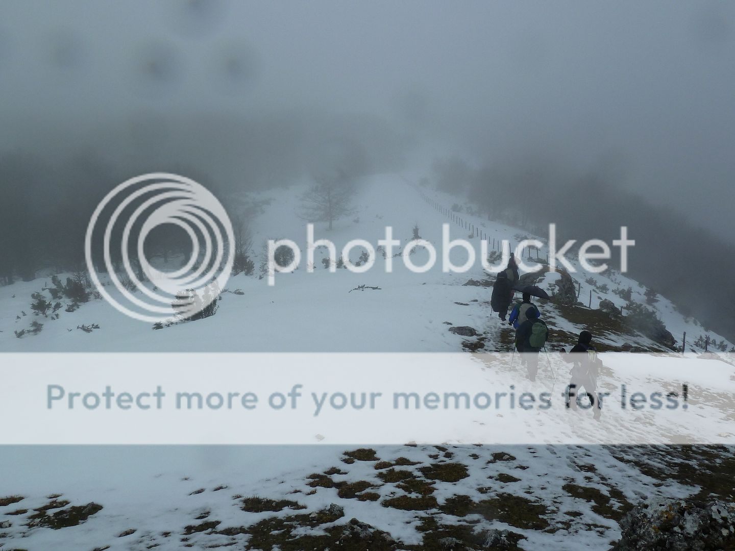 Photo Sharing and otobucVideo Hosting at Phket