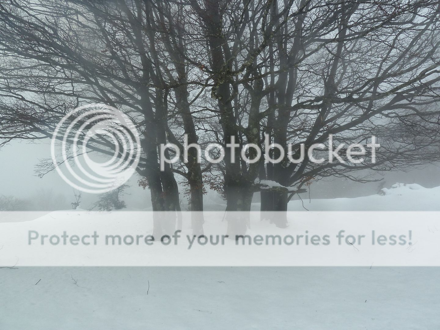 Photo Sharing and otobucVideo Hosting at Phket