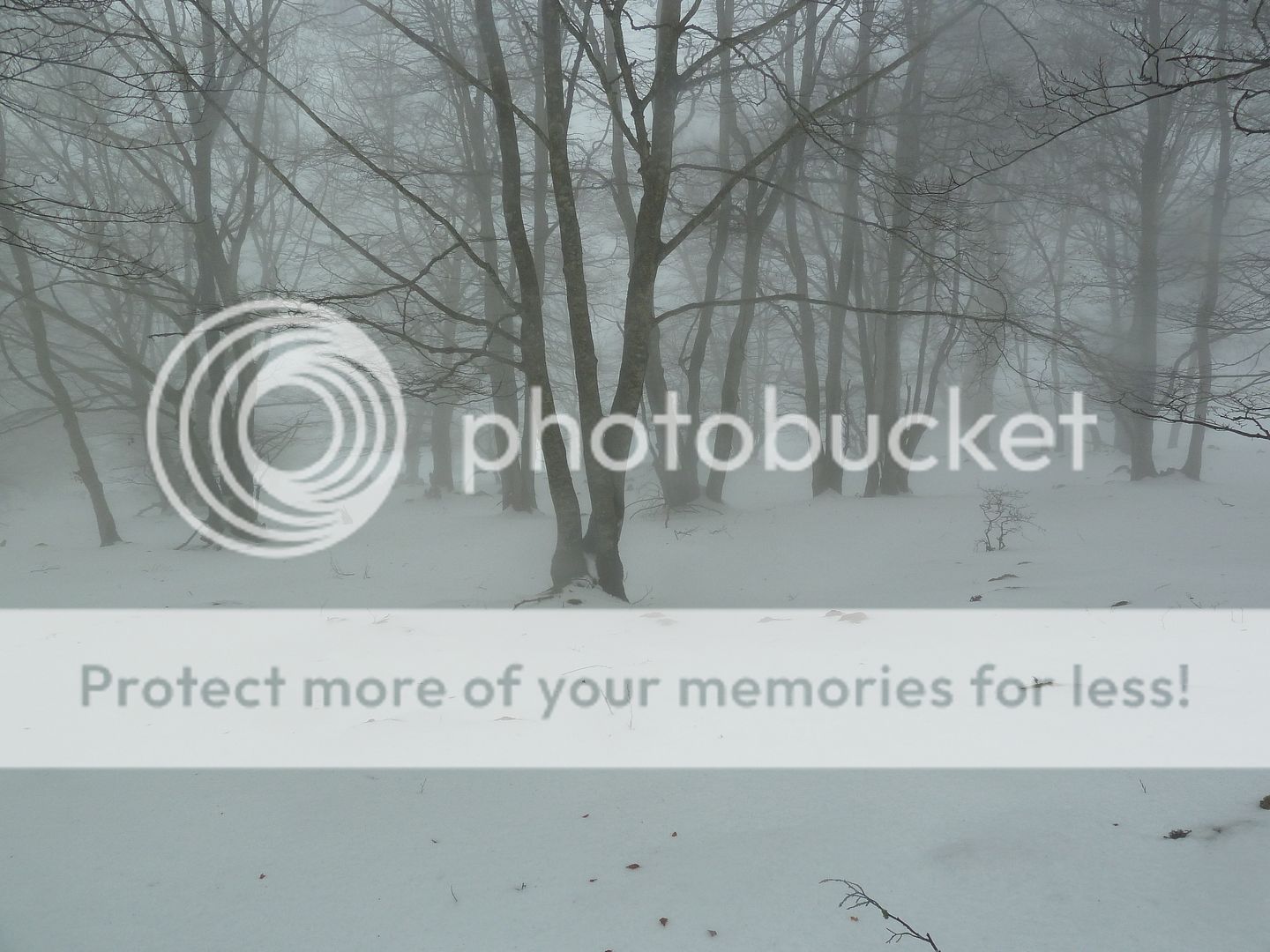 Photo Sharing and otobucVideo Hosting at Phket