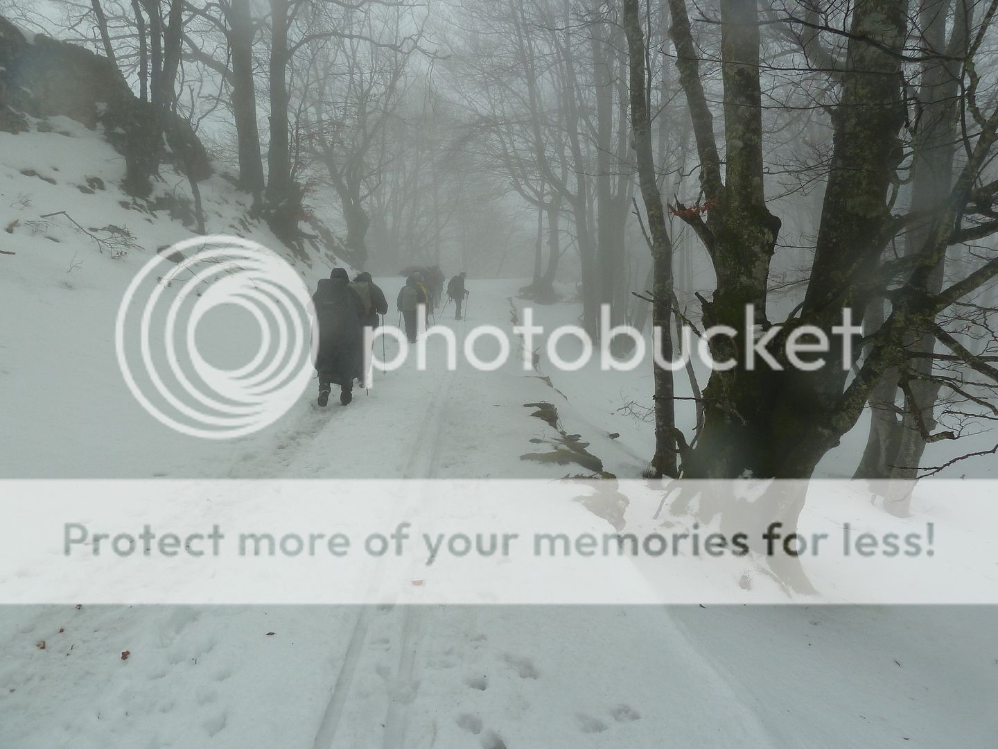 Photo Sharing and otobucVideo Hosting at Phket