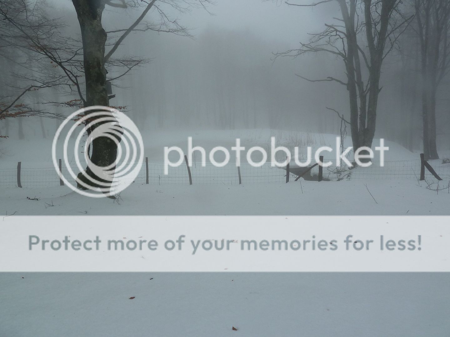 Photo Sharing and otobucVideo Hosting at Phket