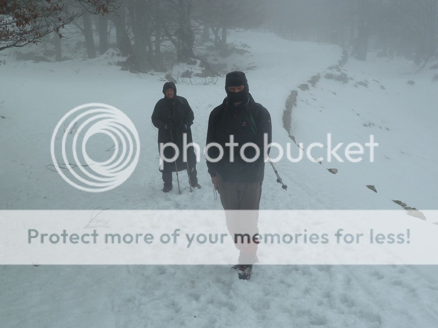 Photo Sharing and otobucVideo Hosting at Phket