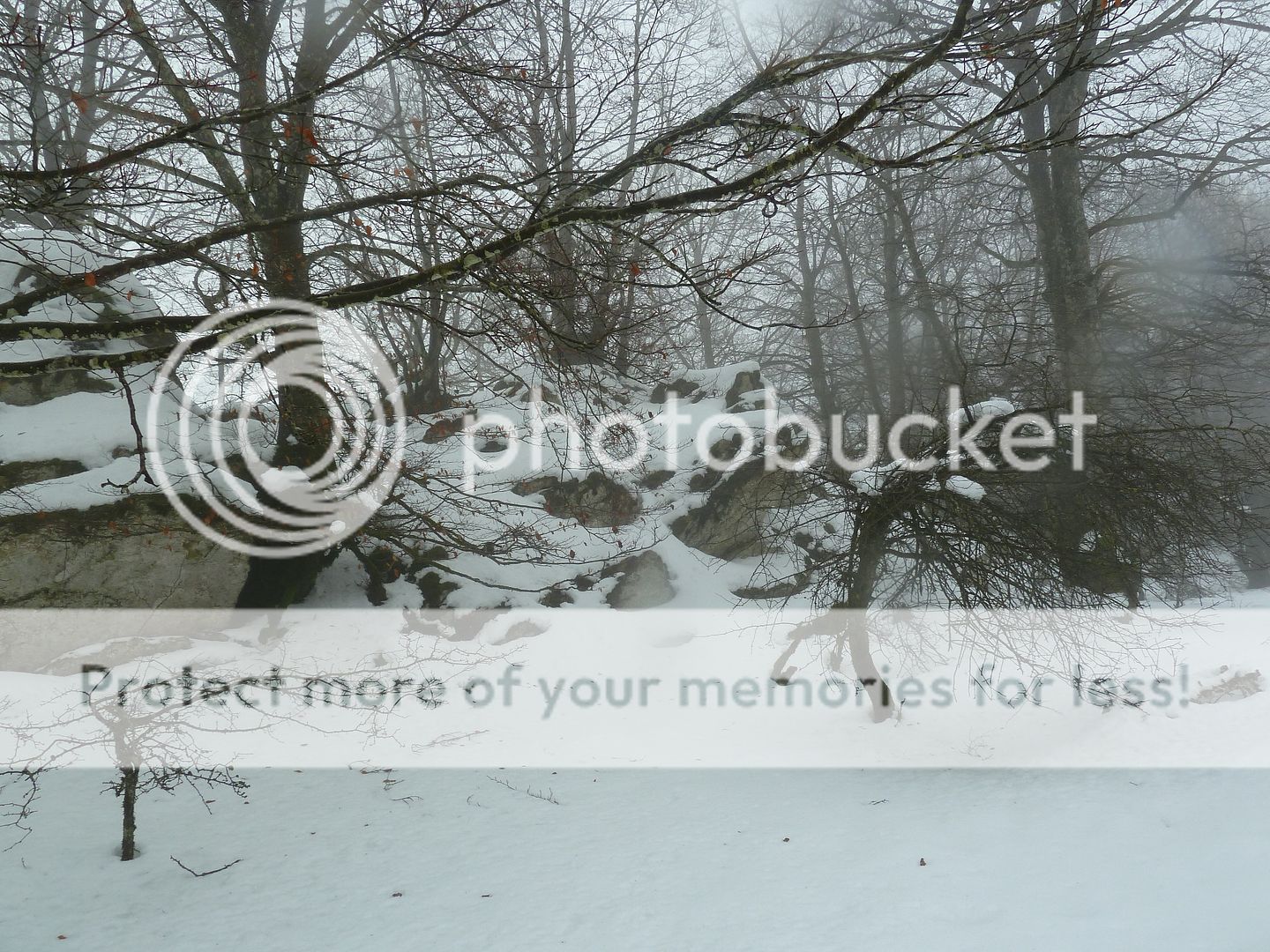 Photo Sharing and otobucVideo Hosting at Phket