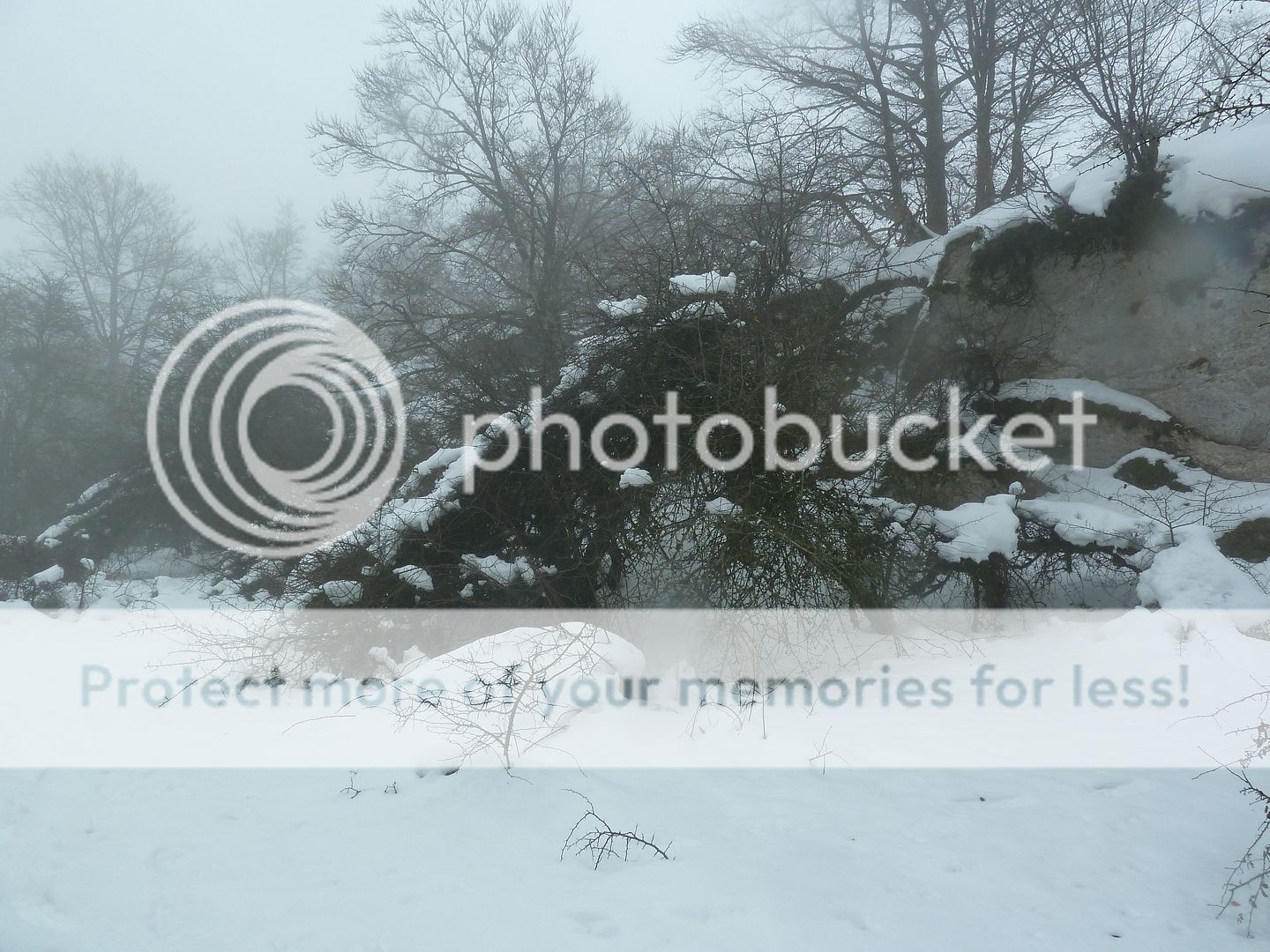 Photo Sharing and otobucVideo Hosting at Phket