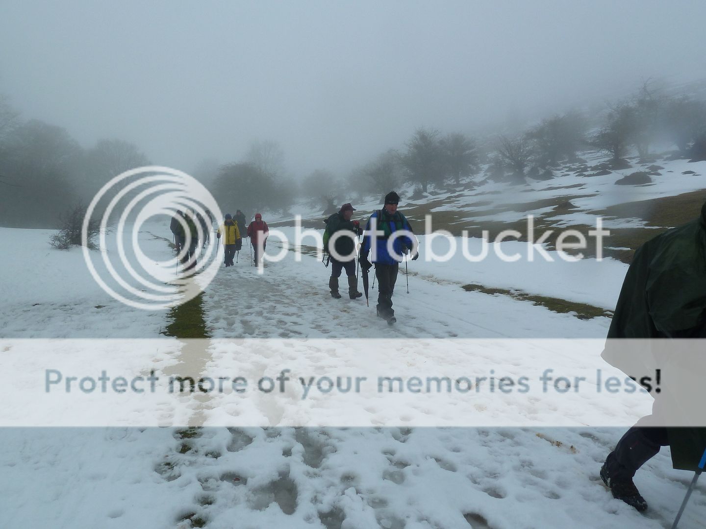 Photo Sharing and otobucVideo Hosting at Phket