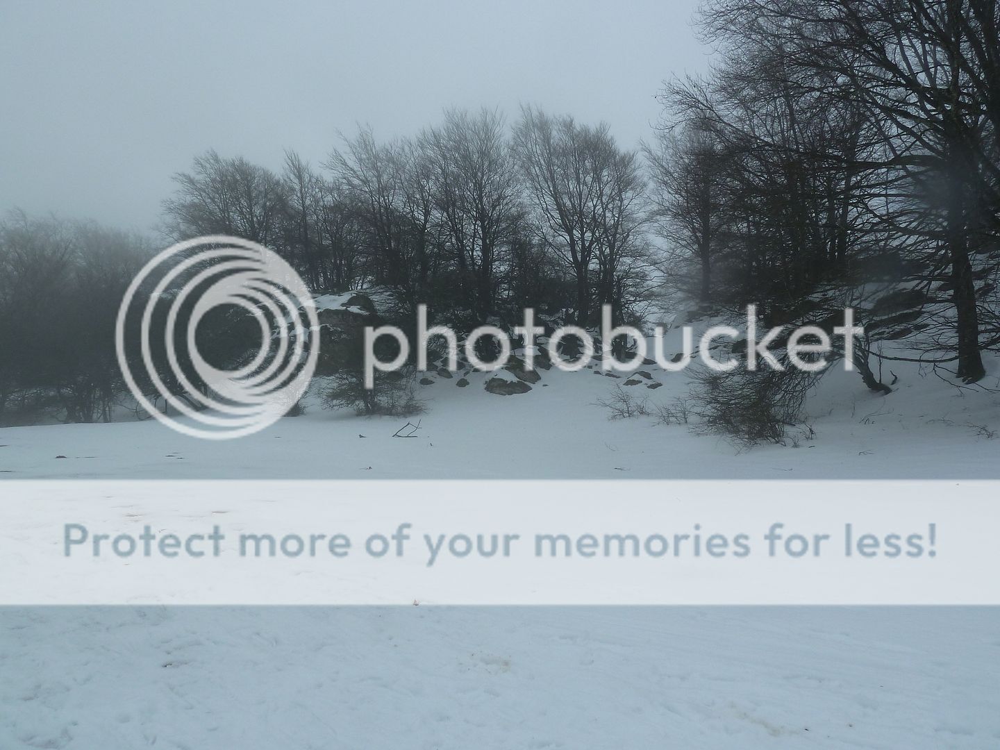 Photo Sharing and otobucVideo Hosting at Phket