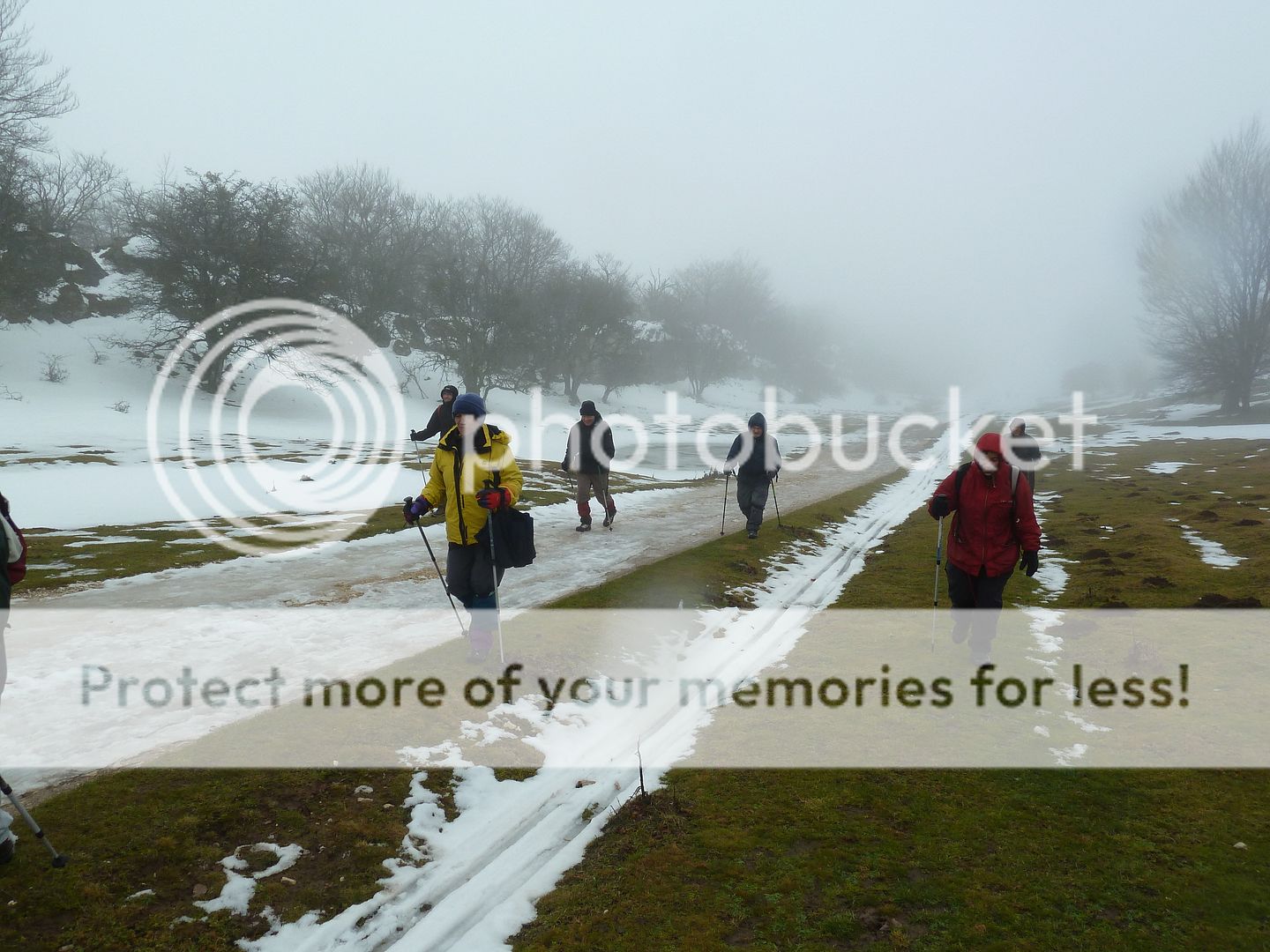Photo Sharing and otobucVideo Hosting at Phket